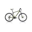 Cube Mountainbike Acid grey 'n' green (2011)