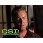 CSI: Crime Scene Investigation Season 8