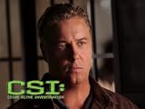 CSI: Crime Scene Investigation, Season 8