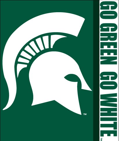 Michigan State Spartans 50x60 Royal Plush Raschel Throw Blanket