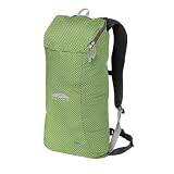 GoLite Ion Pack