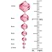 Swarovski Crystal, #5328 Bicone Beads 3mm, 25 Pieces, Indian Pink