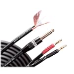 Monster Cable S100-S-10MT Standard 100 Speaker Cable (10 ft., straight .25-in. to dual bananas)