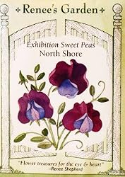 Exhibition Sweet Peas "North Shore" Seeds