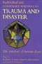 Individual and Community Responses to Trauma and Disaster: The Structure of Human Chaos