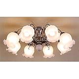 �ۑP �V�����f���A 8~10���p GEM-6700C