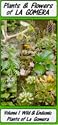Plants and Flowers of La Gomera (Plants & Flowers Guide)