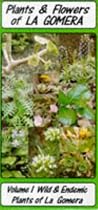 Plants and Flowers of La Gomera (Plants & Flowers Guide)