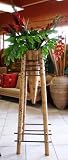 Tropical - Bamboo Planter