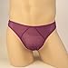 Zeagoo Men's Net Yarn Underpants Underwear Red