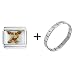 chihuahua39  - Chihuahua Jewelry Italian Charm Bracelet Gift Center