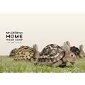 Mr.Children “HOME” TOUR 2007~in the field~ [DVD]