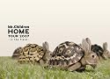 Mr.Children &ldquo;HOME&rdquo; TOUR 2007~in the field~ [DVD]
