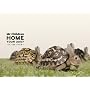 Mr.Children �gHOME�h TOUR 2007~in the field~ [DVD]