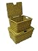 SEAGRASS CHECK WEAVE SET OF 2 RECTANGULAR STORAGE BOXES