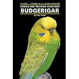 Taming/Training Budgerigars