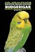 Taming and Training Your First Budgerigar