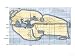 Map of the World According to Ancient Greek Geographer Eratosthenes Giclee Poster Print, 16x12