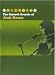 Josh Rouse - The Smooth Sounds Of [DVD] [2004]