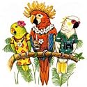 Parrot Tourists Adult Sweatshirt