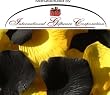 200 Silk Rose Petals Wedding Favors-Multi Colors - Black & Yellow