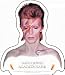 DAVID BOWIE ALADDIN STICKER