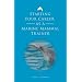 Starting Your Career as a Marine Mammal Trainer