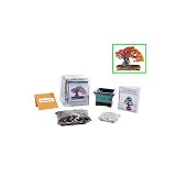 Bonsai Seed Kit Red Maple Complete Kit to Grow Bonsai from Seed 41CAVrt1n8L. SL160 Bonsai Seed Kit Red Maple Complete Kit to Grow Bonsai from Seed