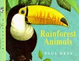 Rainforest animals
