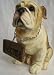 Bull Dog With Welcome/Stay Away Sign