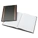 Wilson Jones S295 Line Accounting Record Book, 10.625 x 8.25 Inches, Record Ruled, 150 Pages (WS295-15RA)