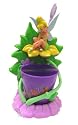 Tinkerbell Sparkling Smile Toothbrush Gift 3 Pcs Set (Toothbrush Holder, Toothbrush, Rinse Cup)