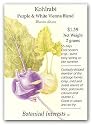 Botanical Interests 0177 Kohlrabi Purple and White Vienna Seed Packet