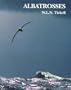 Albatrosses