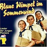 Blaue Wimpel im Sommerwind