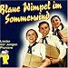 Blaue Wimpel im Sommerwind