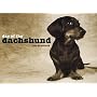 Day of the Dachshund