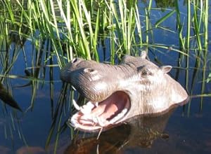 Hippo Head Open Mouth