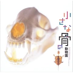 【クリックで詳細表示】小さな骨の動物園 (INAX booklet) [単行本(ソフトカバー)]