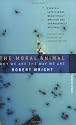The Moral Animal