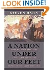 A Nation under Our Feet: Black Political Struggles in the Rural South from Slavery to the Great Migration