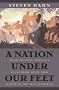 A Nation under Our Feet: Black Political Struggles in the Rural South from Slavery to the Great Migration A Nation under Our Feet: Black Political Struggles in the Rural South from Slavery to the Great Migration
