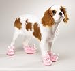 PINK BUNNY - X-LARGE - Doggie Slippers PINK BUNNY - X-LARGE - Doggie Slippers