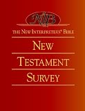 The New Interpreters Bible New Testament Survey (New Interpreters Bible)