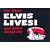 Elvis Lives!: and Other Anagrams