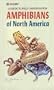 Amphibians of North America