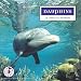 Musique : Dauphins : Les chants des dauphins