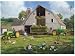 Great American Puzzle Factory John Deere Haying Days 1000 Piece Jigsaw Puzzle