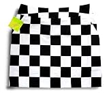 Loudmouth Golf Womens Skorts: Pole Position - Size 4