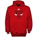 Adidas Chicago Bulls Youth (Sizes 8-20) Primary Logo Hoodie Small